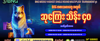 အထူးပရိုမိုးရှင်းများကို ရယူပါ